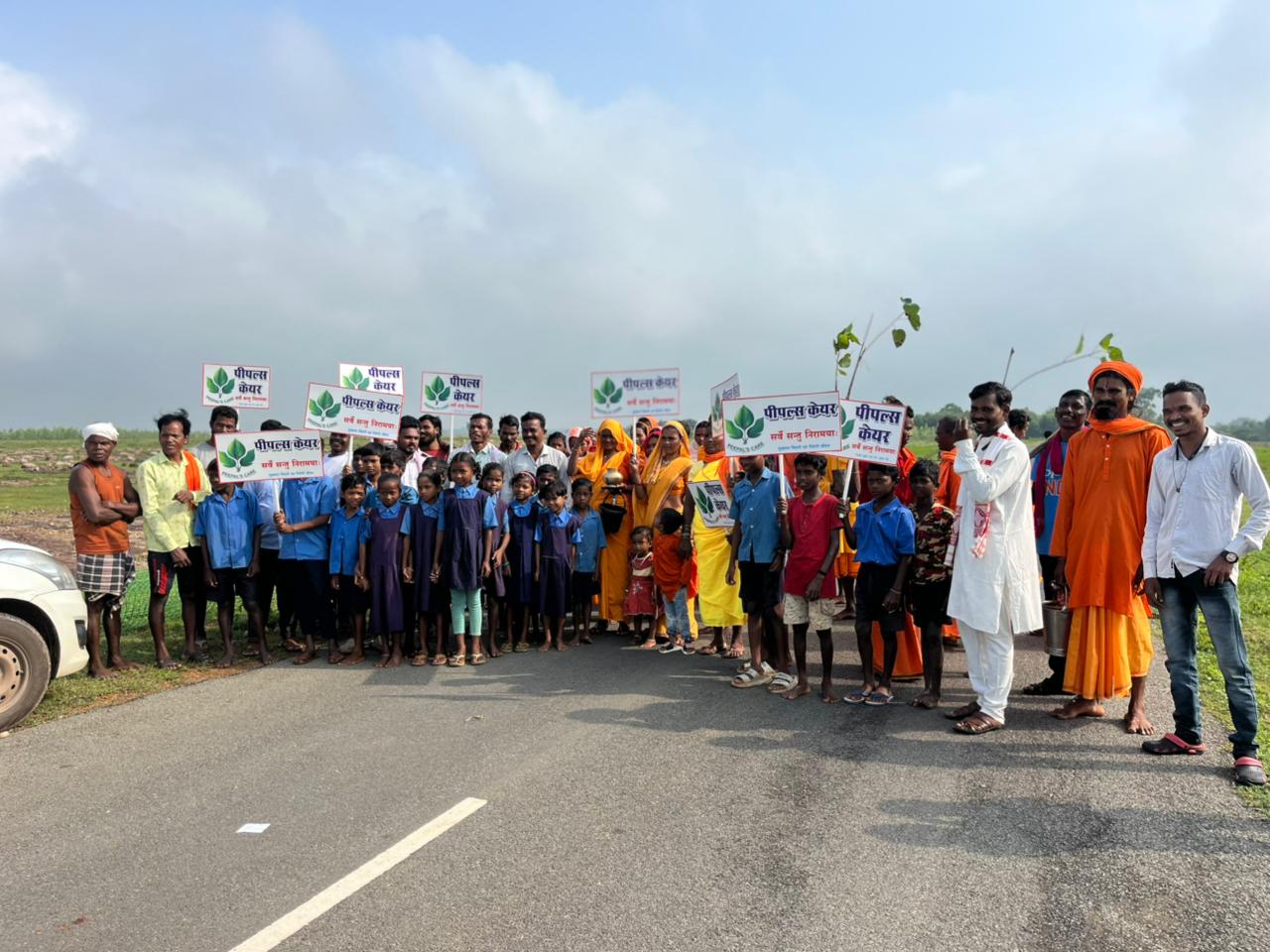 Sapling Distribution to Participants