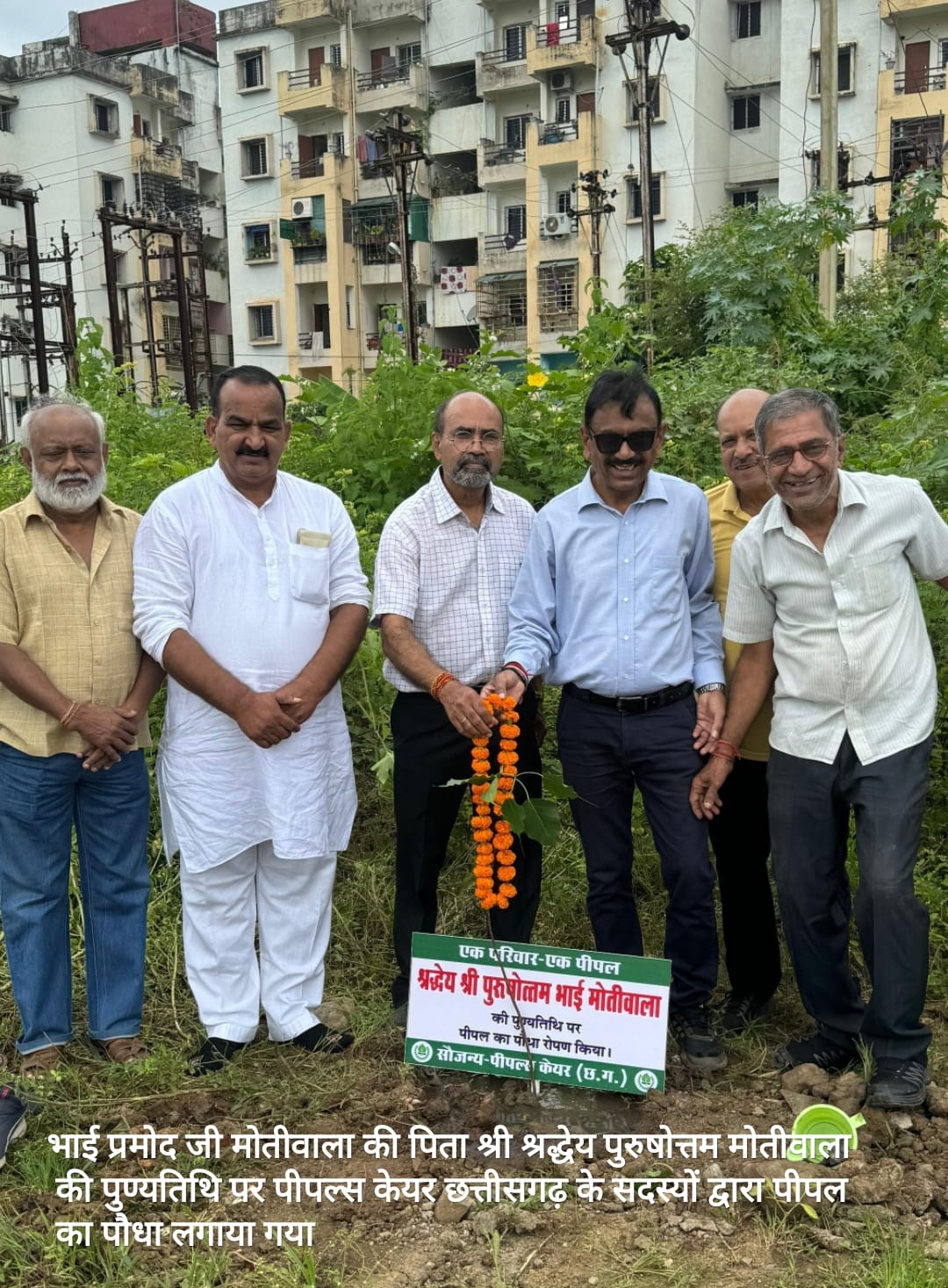 Teamwork in Plantation Efforts